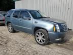 2008 Cadillac Escalade Luxury