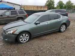 Salvage cars for sale at Baltimore, MD auction: 2008 Honda Accord EXL