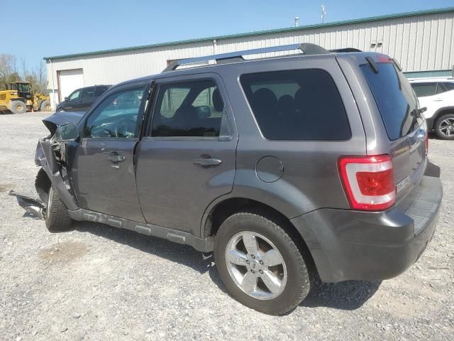 2011 Ford Escape Limited