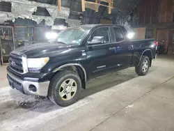 Salvage cars for sale at Albany, NY auction: 2010 Toyota Tundra Double Cab SR5