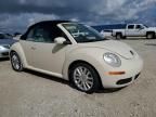 2010 Volkswagen New Beetle