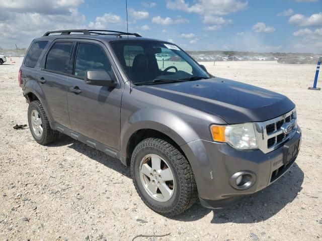 2011 Ford Escape XLT