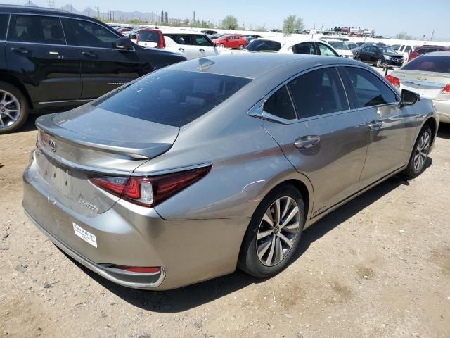 2020 Lexus ES 300H