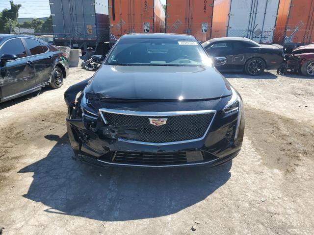 2019 Cadillac CT6 Sport Csav