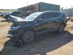 Salvage cars for sale at Colorado Springs, CO auction: 2020 Honda CR-V EX