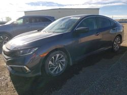 Honda Civic salvage cars for sale: 2020 Honda Civic EX