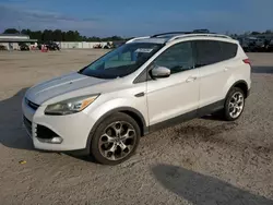 Salvage cars for sale from Copart Gaston, SC: 2013 Ford Escape Titanium