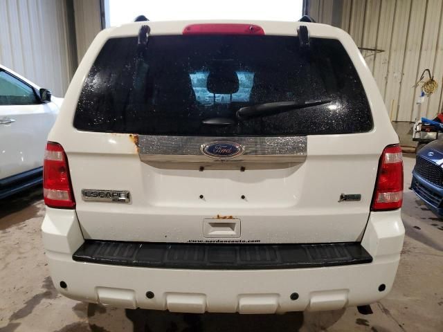 2011 Ford Escape Limited