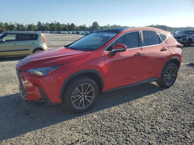 2025 Lexus NX 350H Base