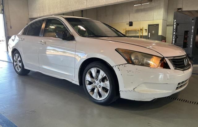 2009 Honda Accord EXL