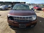 2009 Lincoln MKX