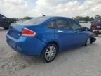 2010 Ford Focus SEL