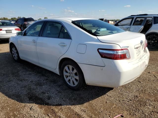 2009 Toyota Camry Hybrid