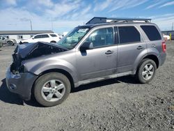 Ford salvage cars for sale: 2010 Ford Escape XLT