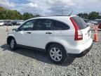 2007 Honda CR-V EX