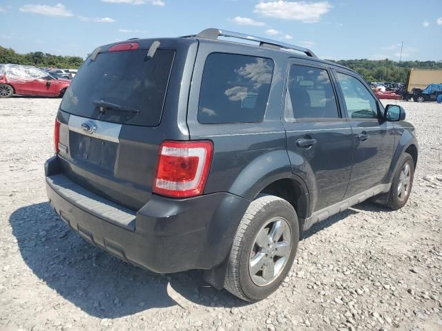 2009 Ford Escape Limited