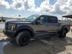 Salvage cars for sale at Corpus Christi, TX auction: 2024 Ford F150 Raptor