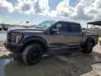 2024 Ford F150 Raptor