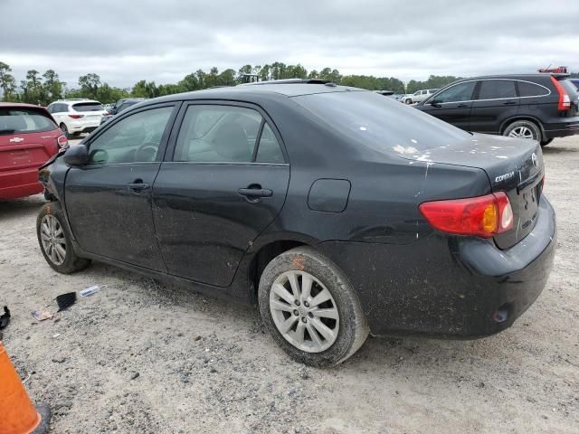 2009 Toyota Corolla Base