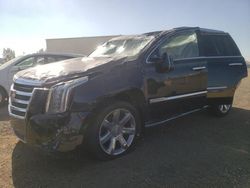 Salvage cars for sale at Rocky View County, AB auction: 2020 Cadillac Escalade Premium Luxury