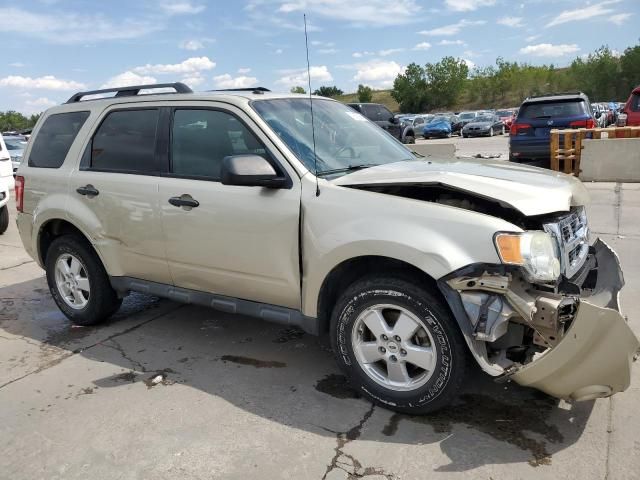 2012 Ford Escape XLT