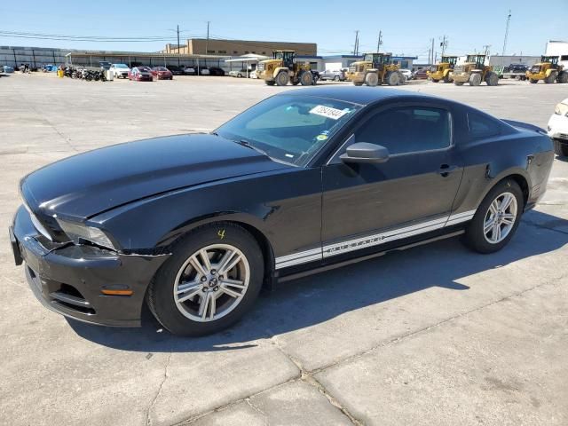 2013 Ford Mustang