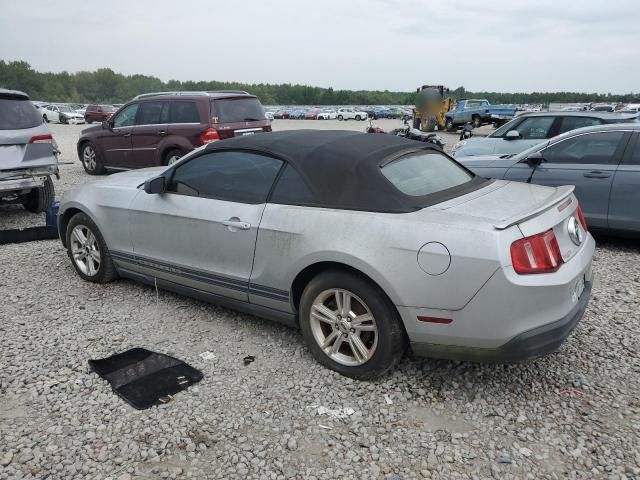 2010 Ford Mustang