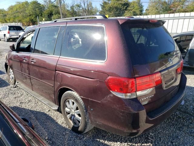 2010 Honda Odyssey EXL