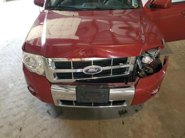 2011 Ford Escape Limited