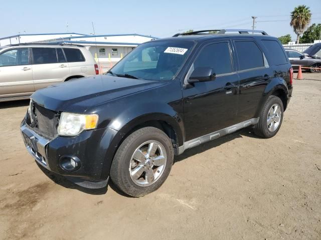 2010 Ford Escape Limited