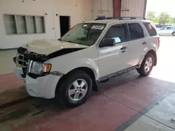 Salvage cars for sale at Angola, NY auction: 2011 Ford Escape XLT