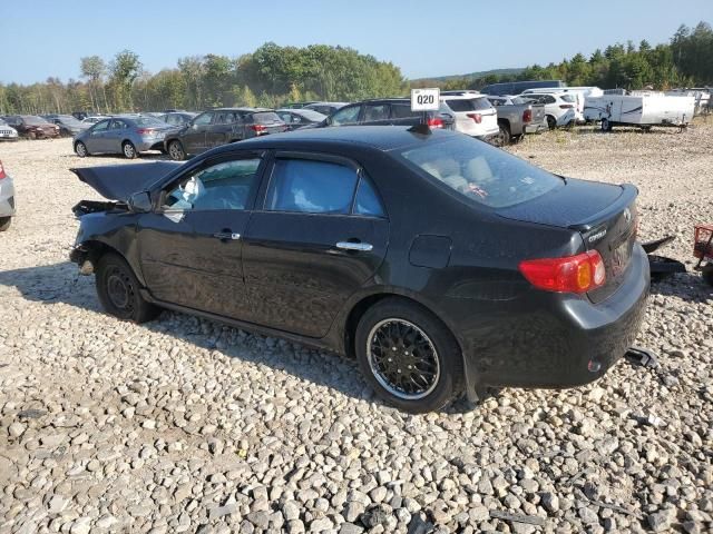 2010 Toyota Corolla Base