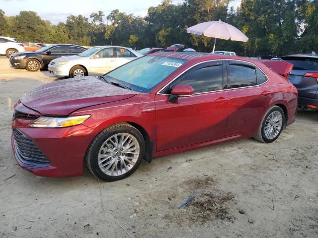 2019 Toyota Camry Hybrid