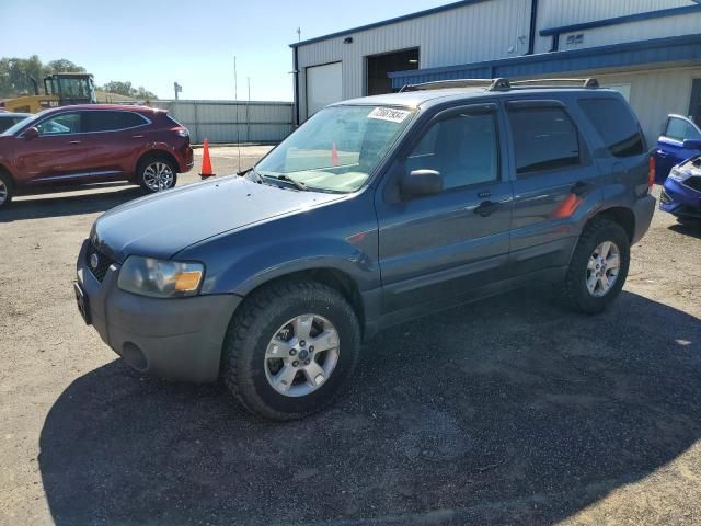 2005 Ford Escape XLT