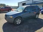 2005 Ford Escape XLT