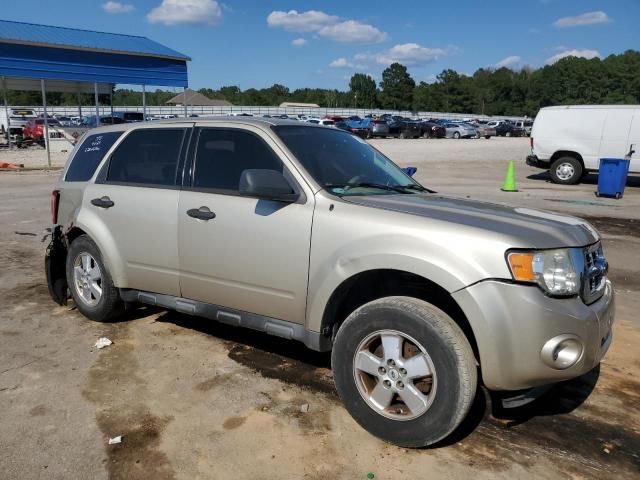 2010 Ford Escape XLS