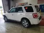 2009 Ford Escape Limited