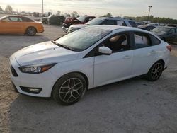 Salvage cars for sale at Indianapolis, IN auction: 2018 Ford Focus SE