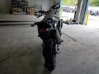 2024 Triumph 2024 Triumph Motorcycle Tiger 900 Rally PRO