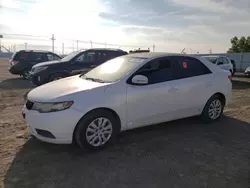 2012 KIA Forte EX en venta en Greenwood, NE