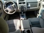 2008 Ford Escape HEV