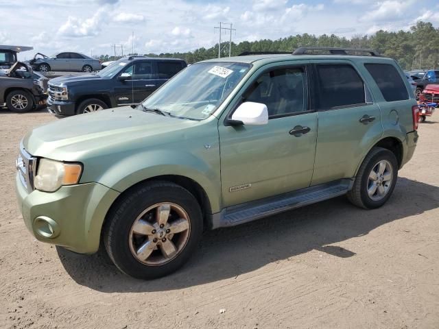 2008 Ford Escape XLT