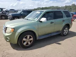 Ford salvage cars for sale: 2008 Ford Escape XLT