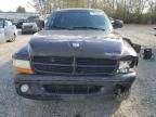 1999 Dodge Dakota