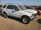 2010 Ford Escape Hybrid