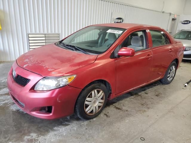 2009 Toyota Corolla Base