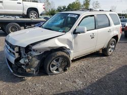 Salvage cars for sale at Leroy, NY auction: 2012 Ford Escape Limited