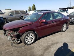 Salvage cars for sale at Hayward, CA auction: 2013 Honda Accord EXL