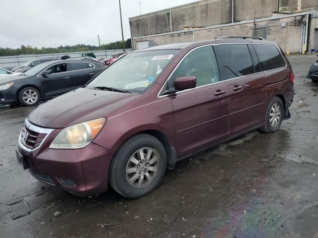 2010 Honda Odyssey EXL