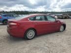 2016 Ford Fusion SE Phev